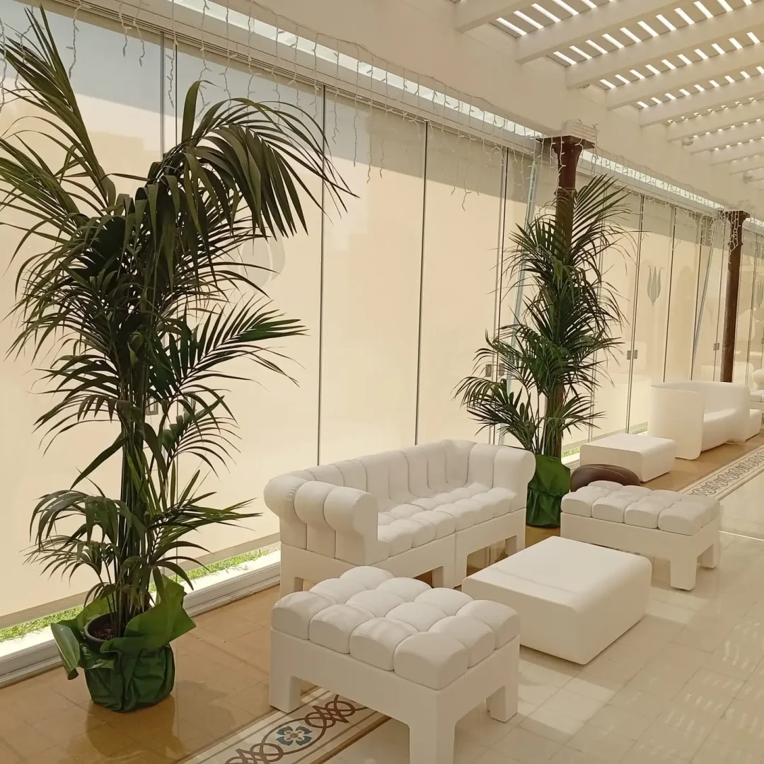 Ingresso palme